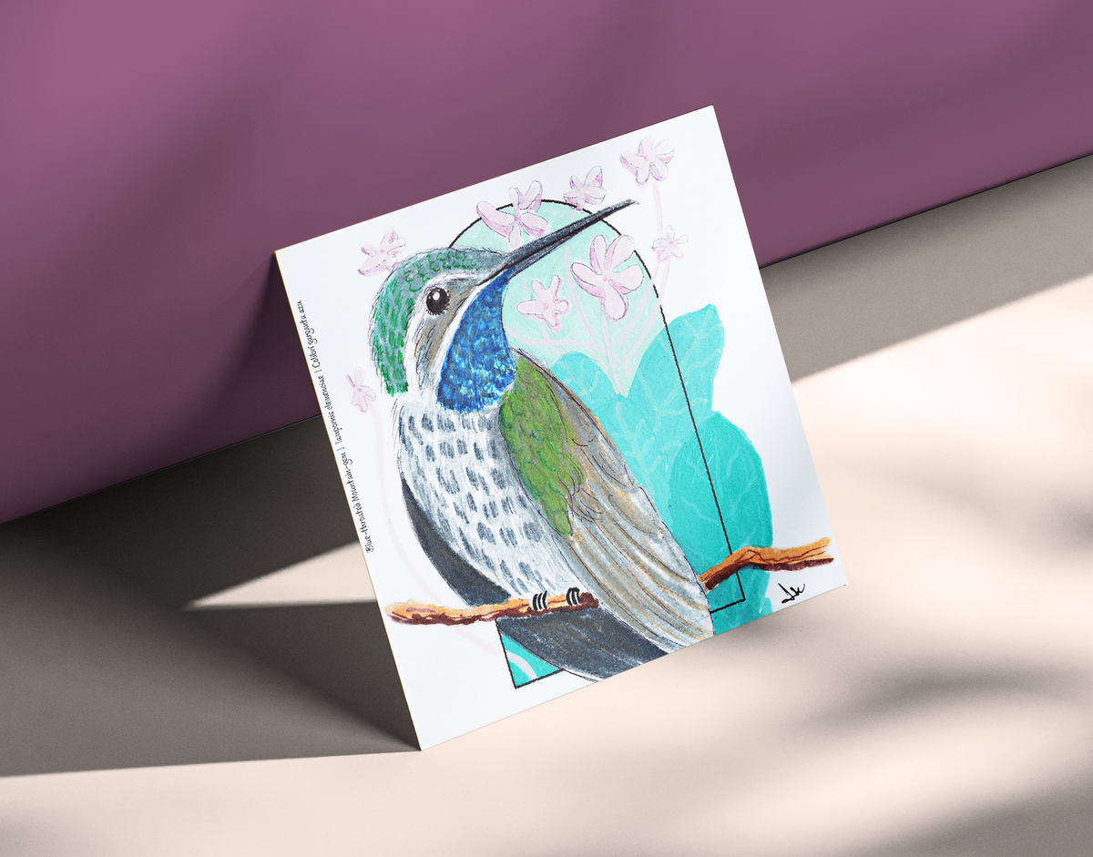 Blue Gem Mountain Hummingbird