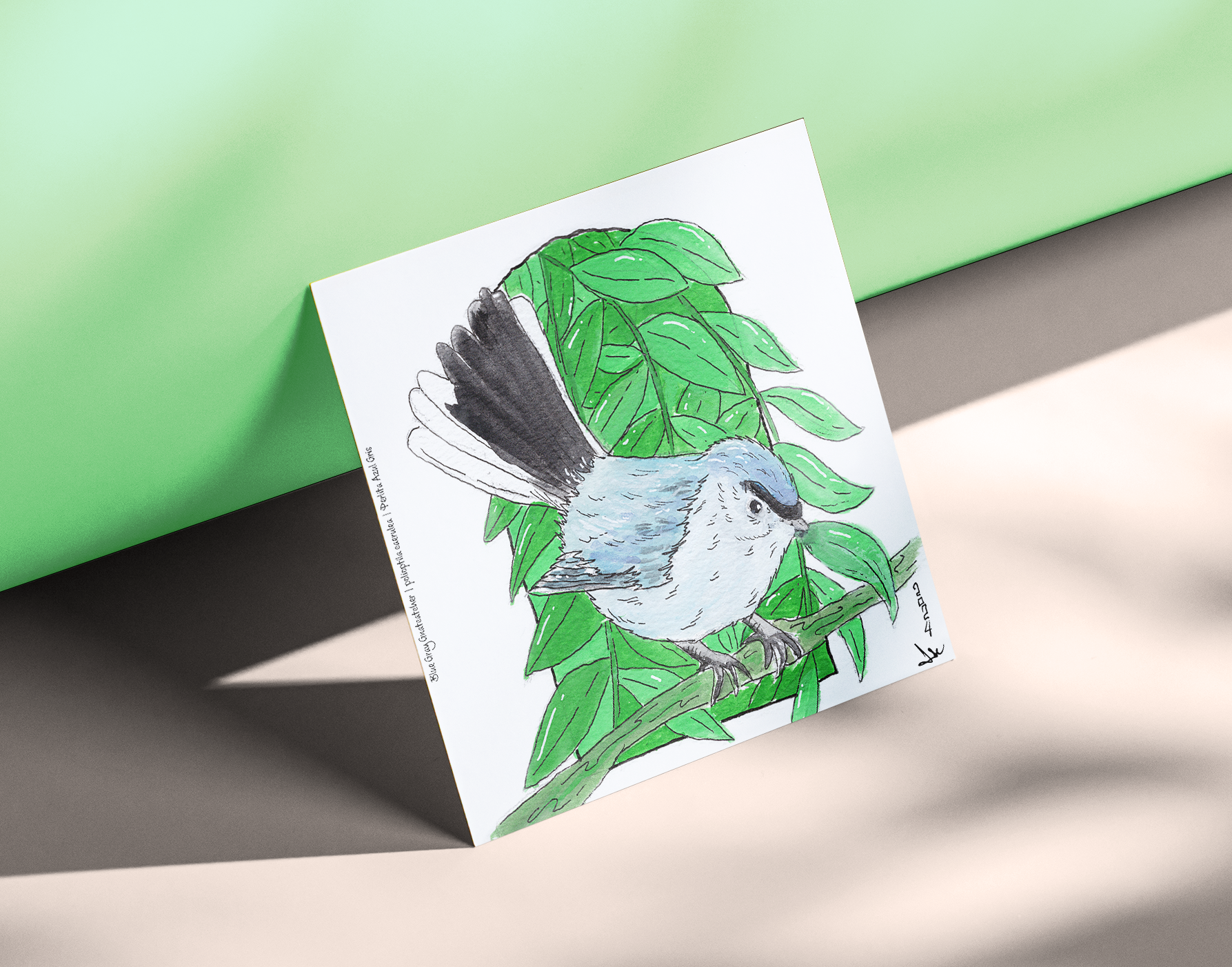 Blue-gray Gnatcatcher