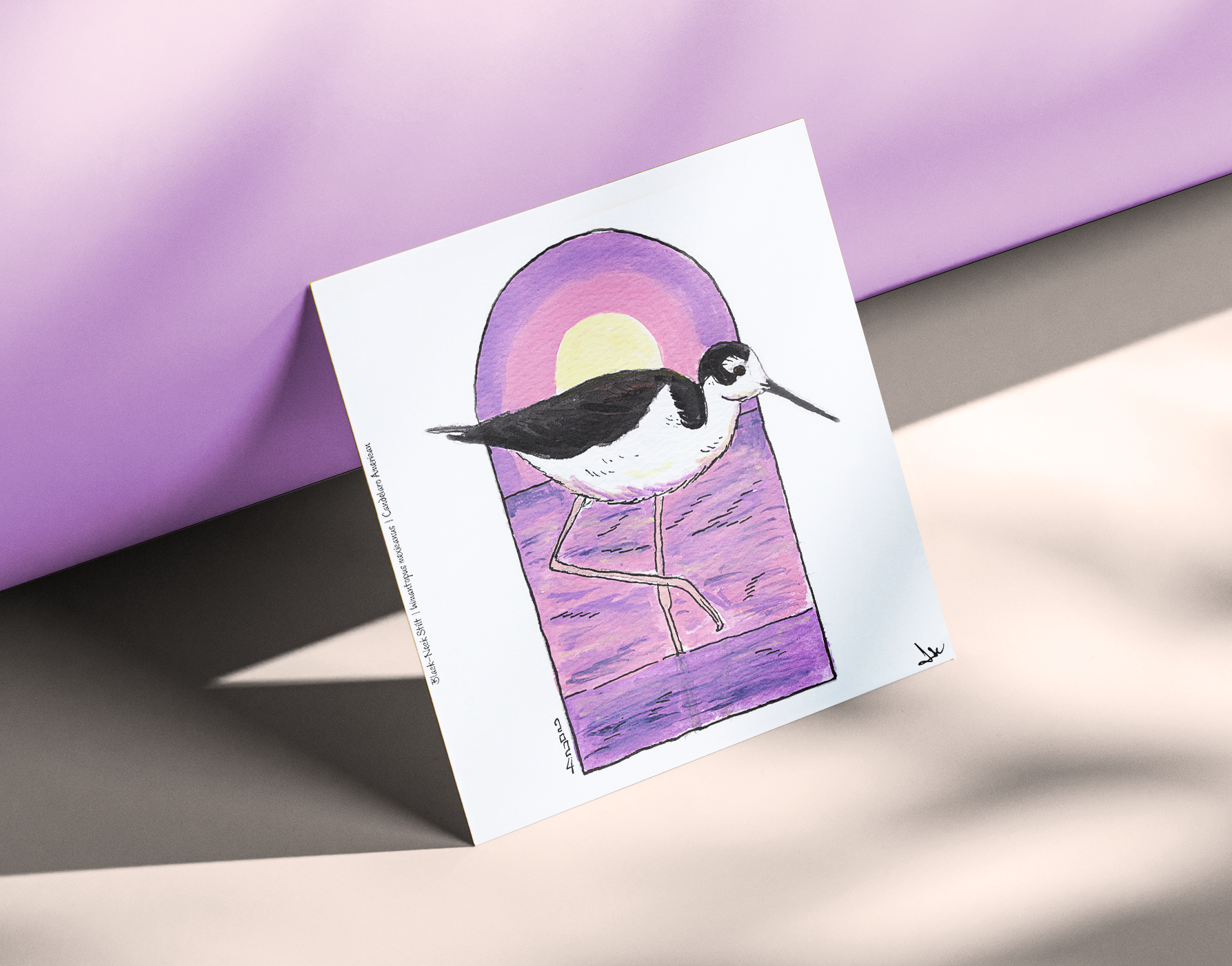 Black-neck Stilt