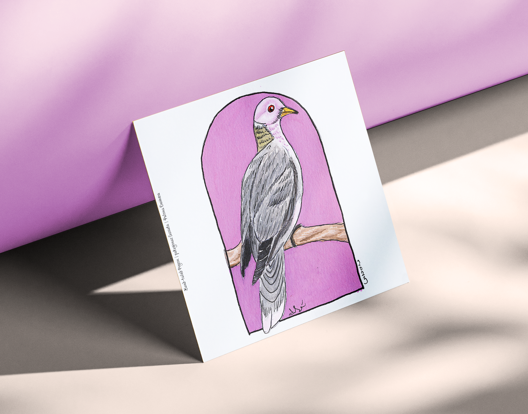 Band-tailed Pigeon