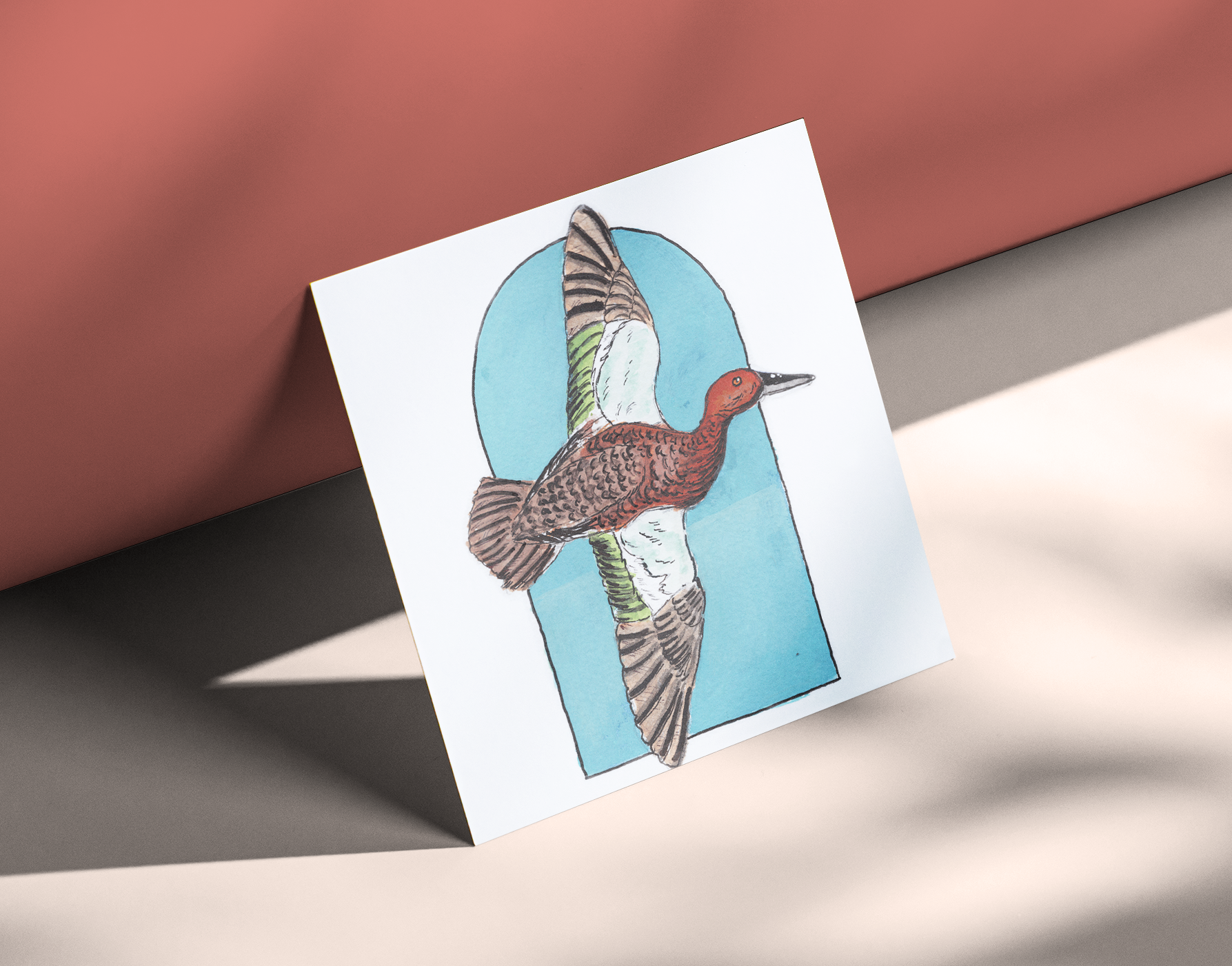 Cinnamon Teal