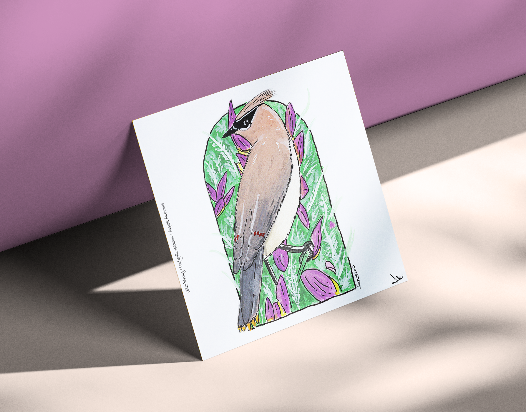Cedar Waxwing