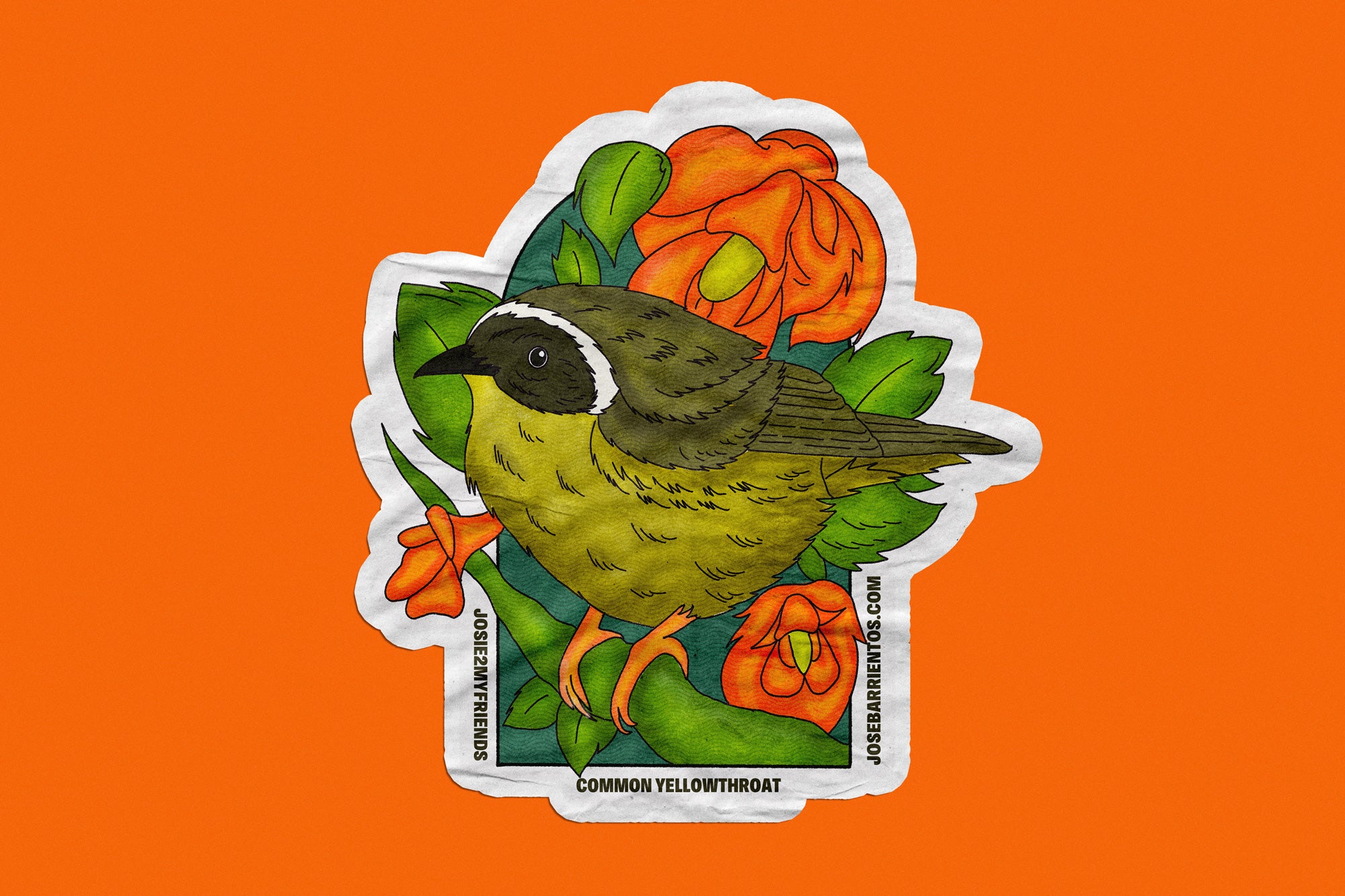 Common Yellowthroat
