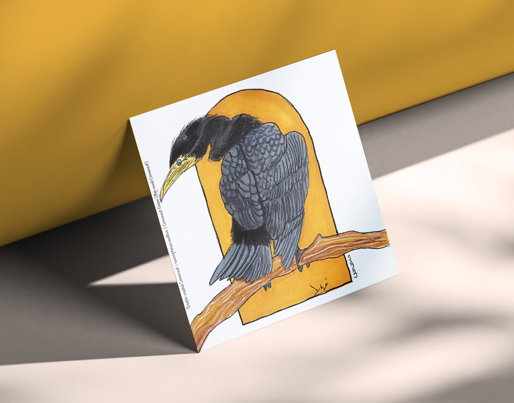 Double-crested Cormorant