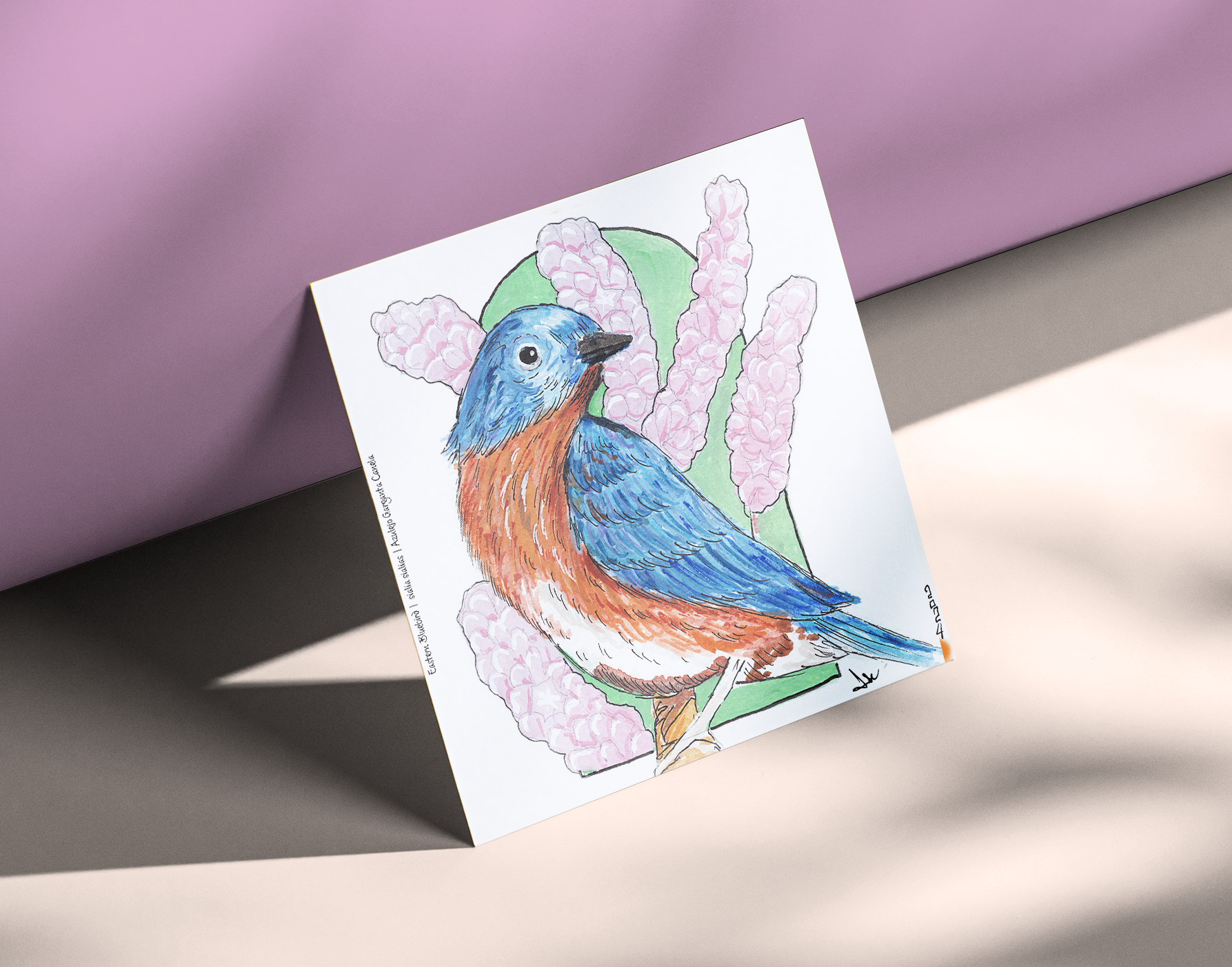 Eastern Bluebird