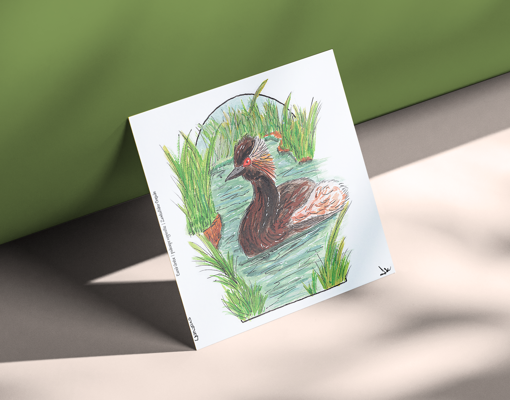 Eared Grebe