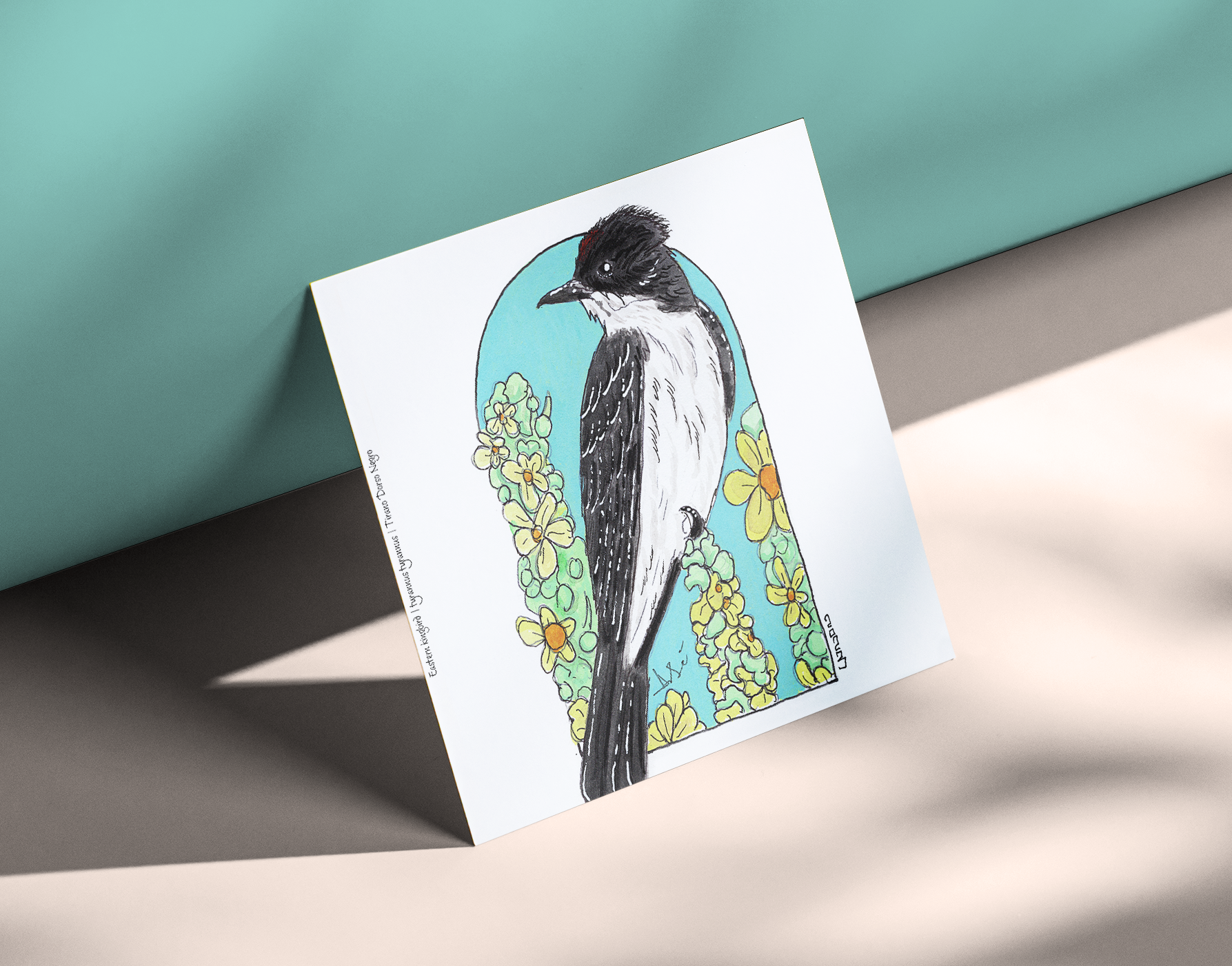 Eastern Kingbird