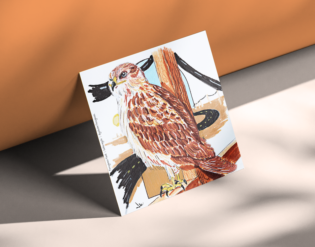 Ferruginous Hawk
