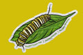 Monarch-Instar