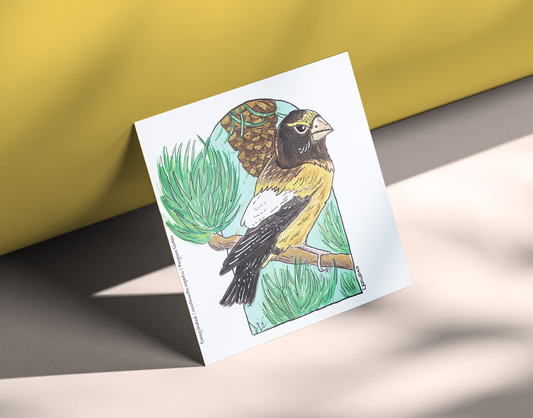 Evening Grossbeak