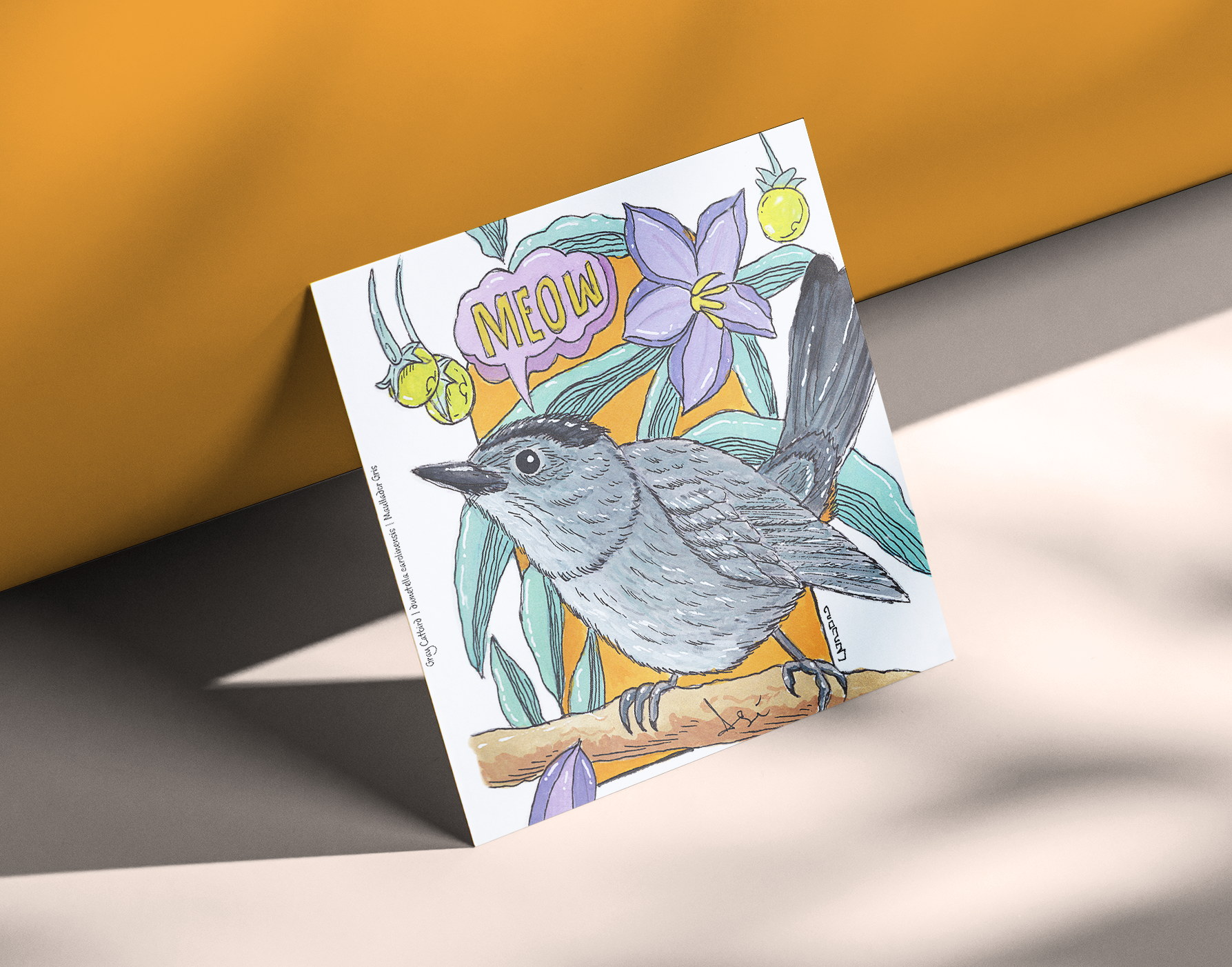 Gray-headed Catbird