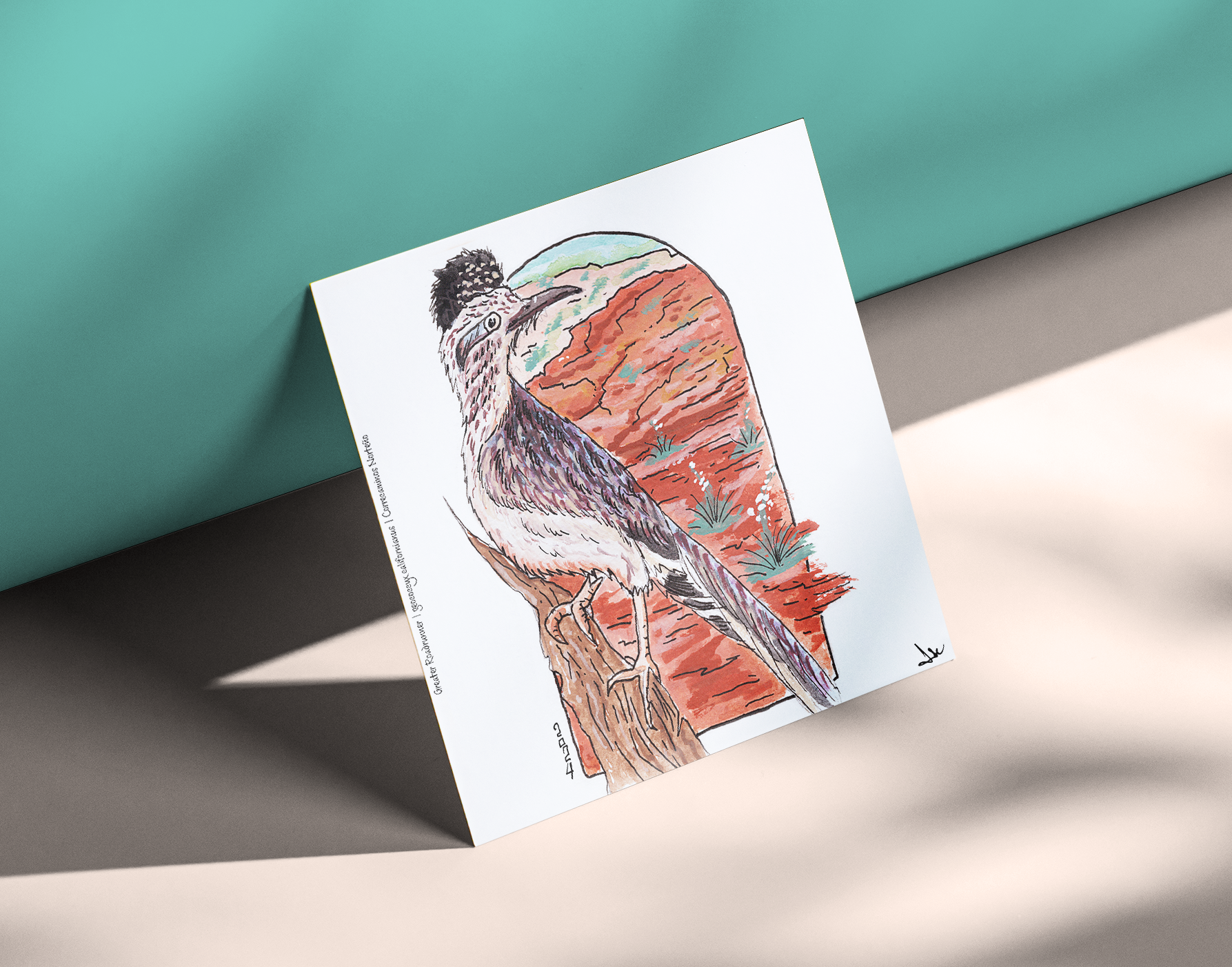Greater Roadrunner