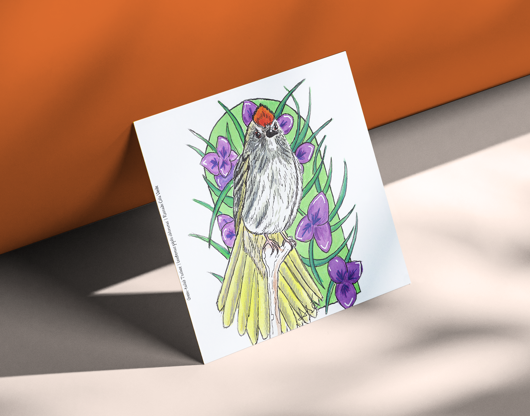 Green-tailed Towhee