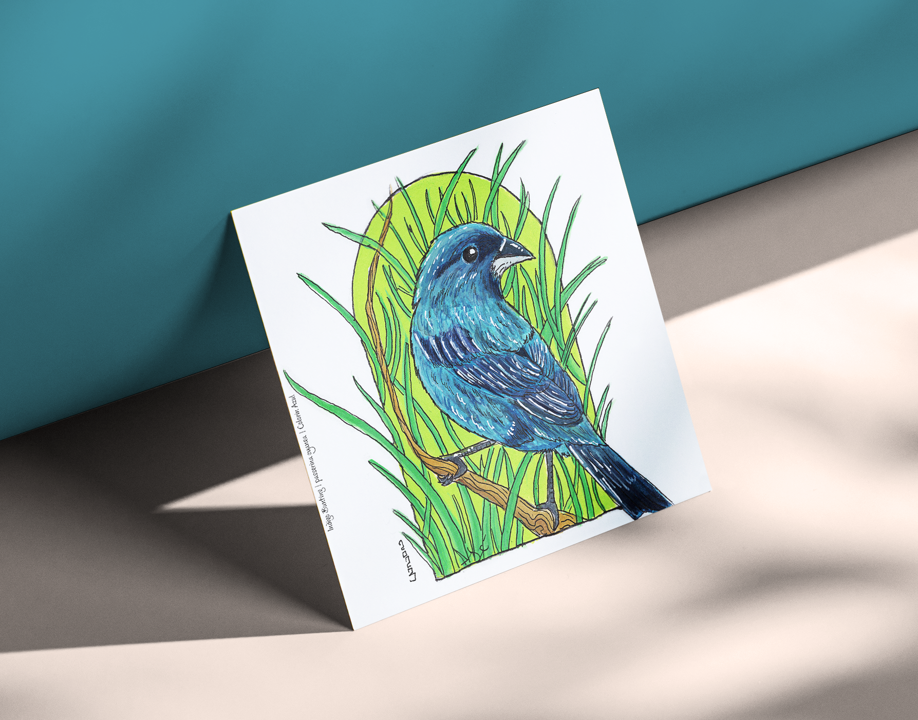 Indigo Bunting