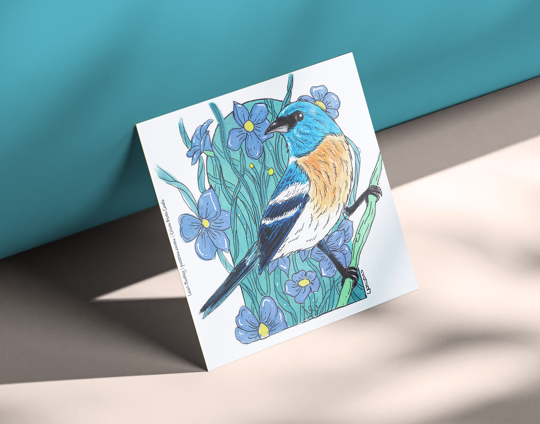Lazuli Bunting
