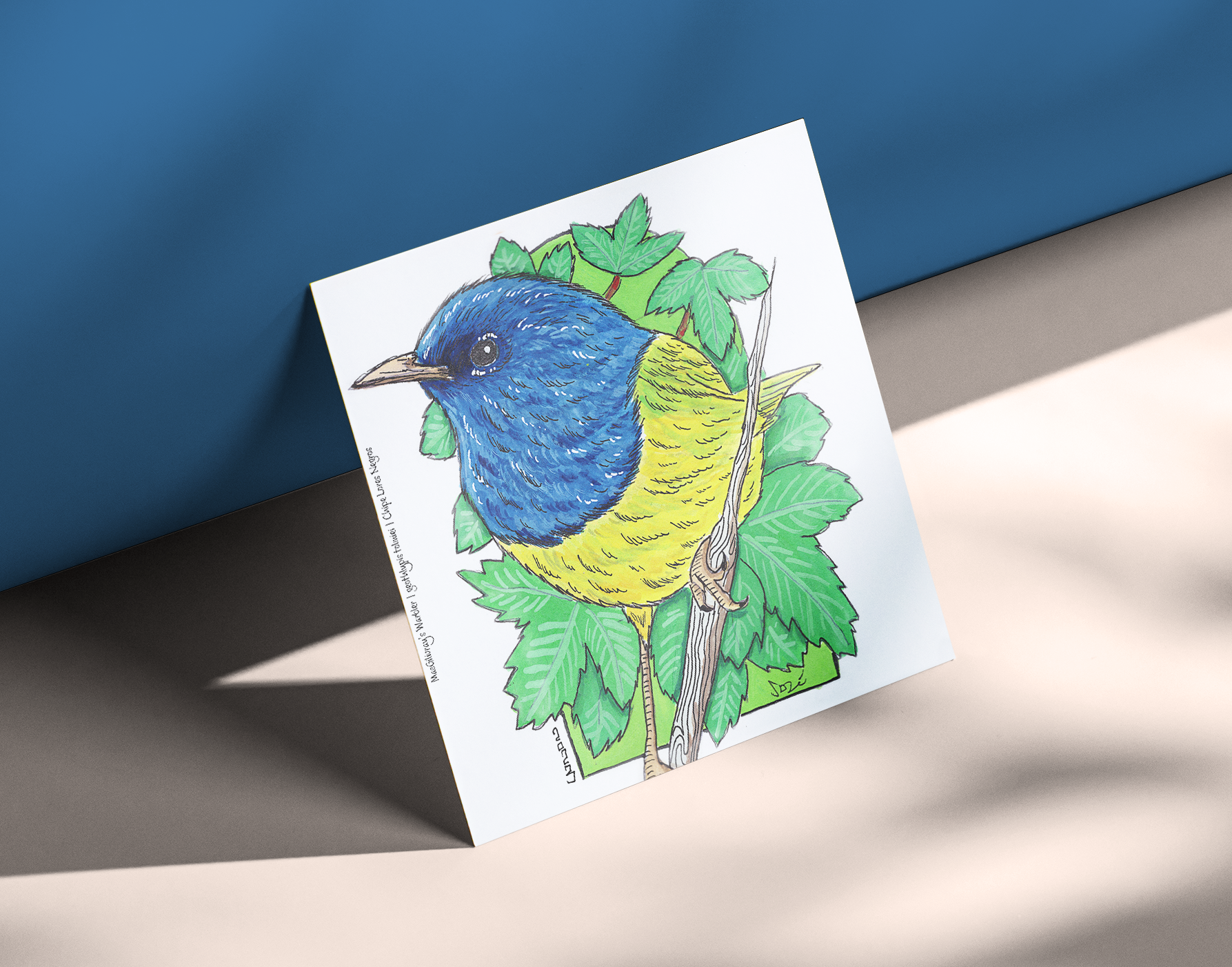 MacGillivray's Warbler
