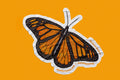 Monarch Butterfly