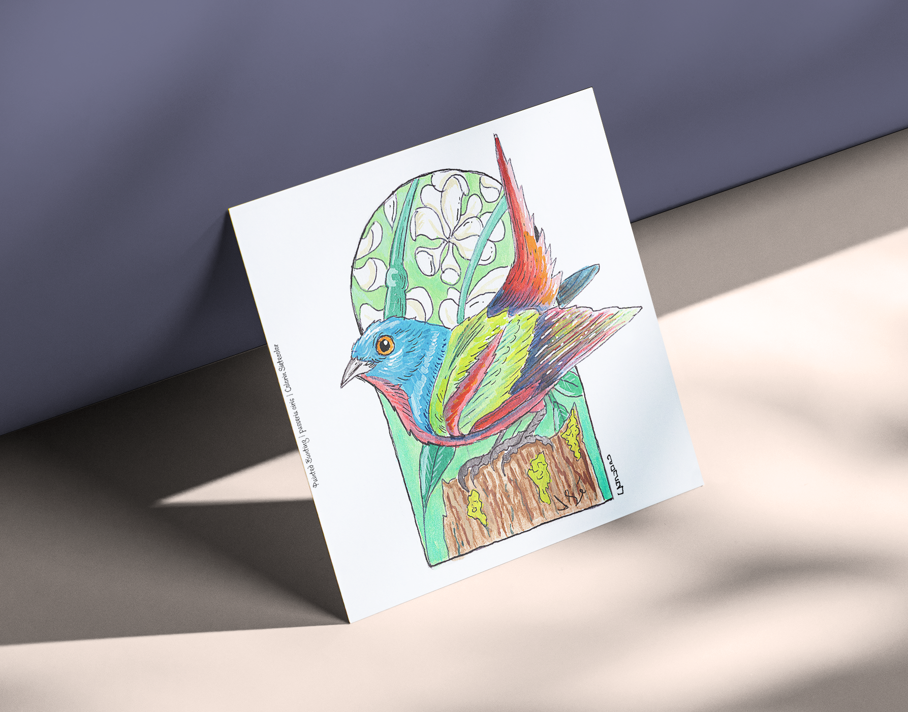 Painted Bunting