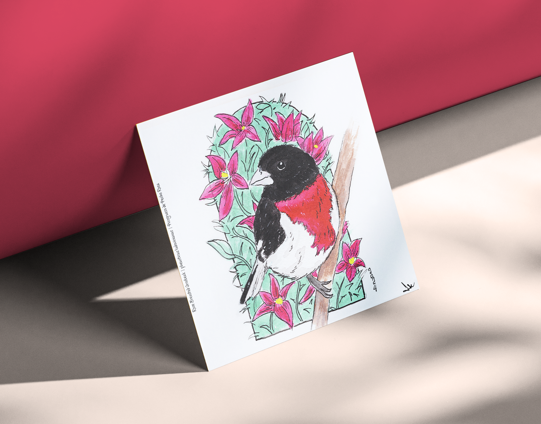 Rose-breasted Grosbeak