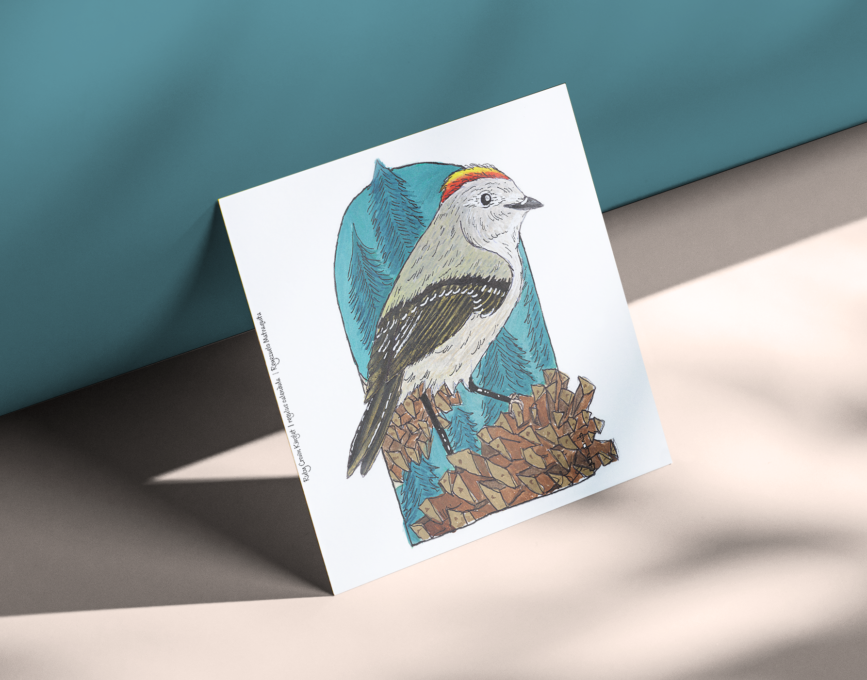Ruby-crown Kinglet