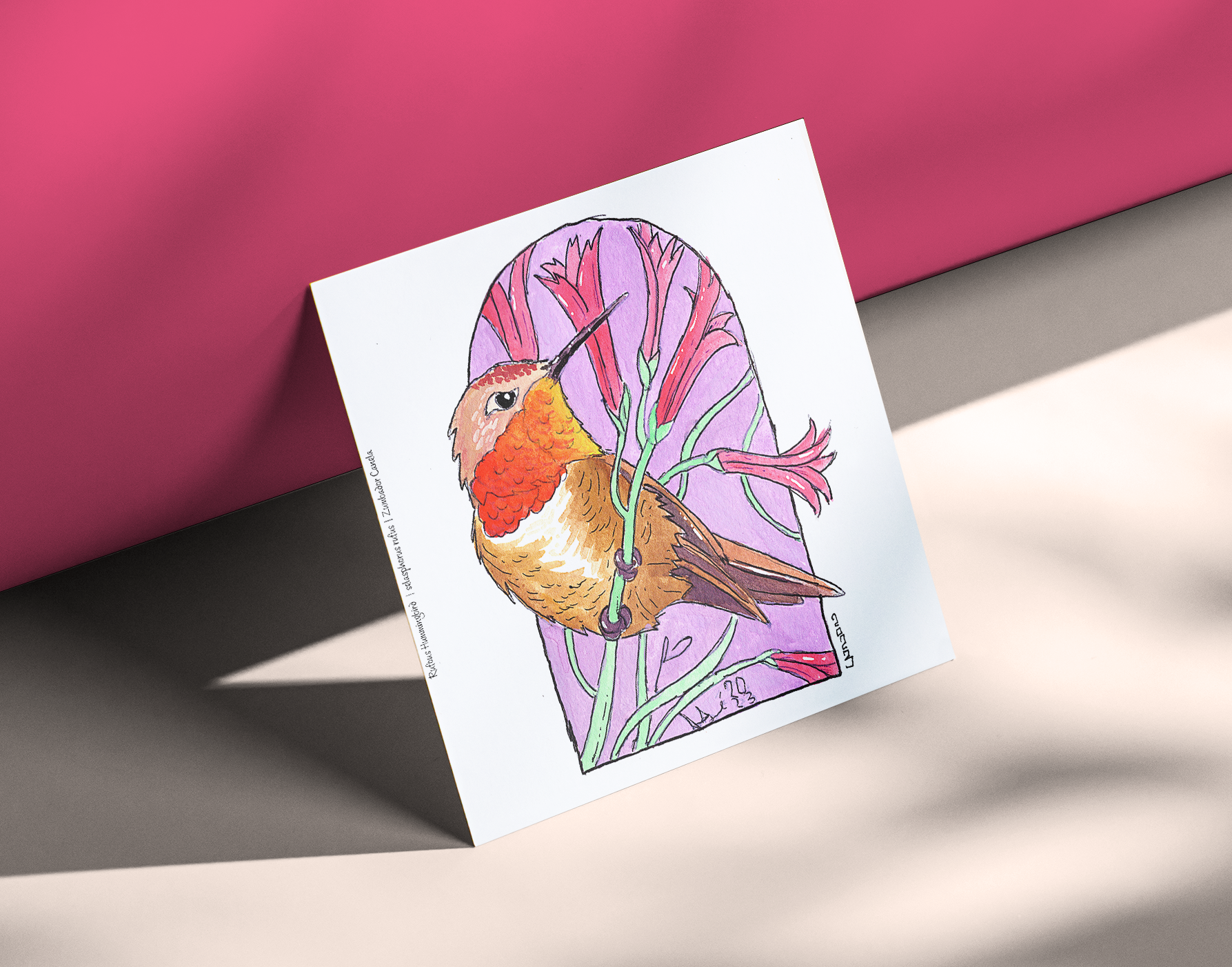 Rufous Hummingbird