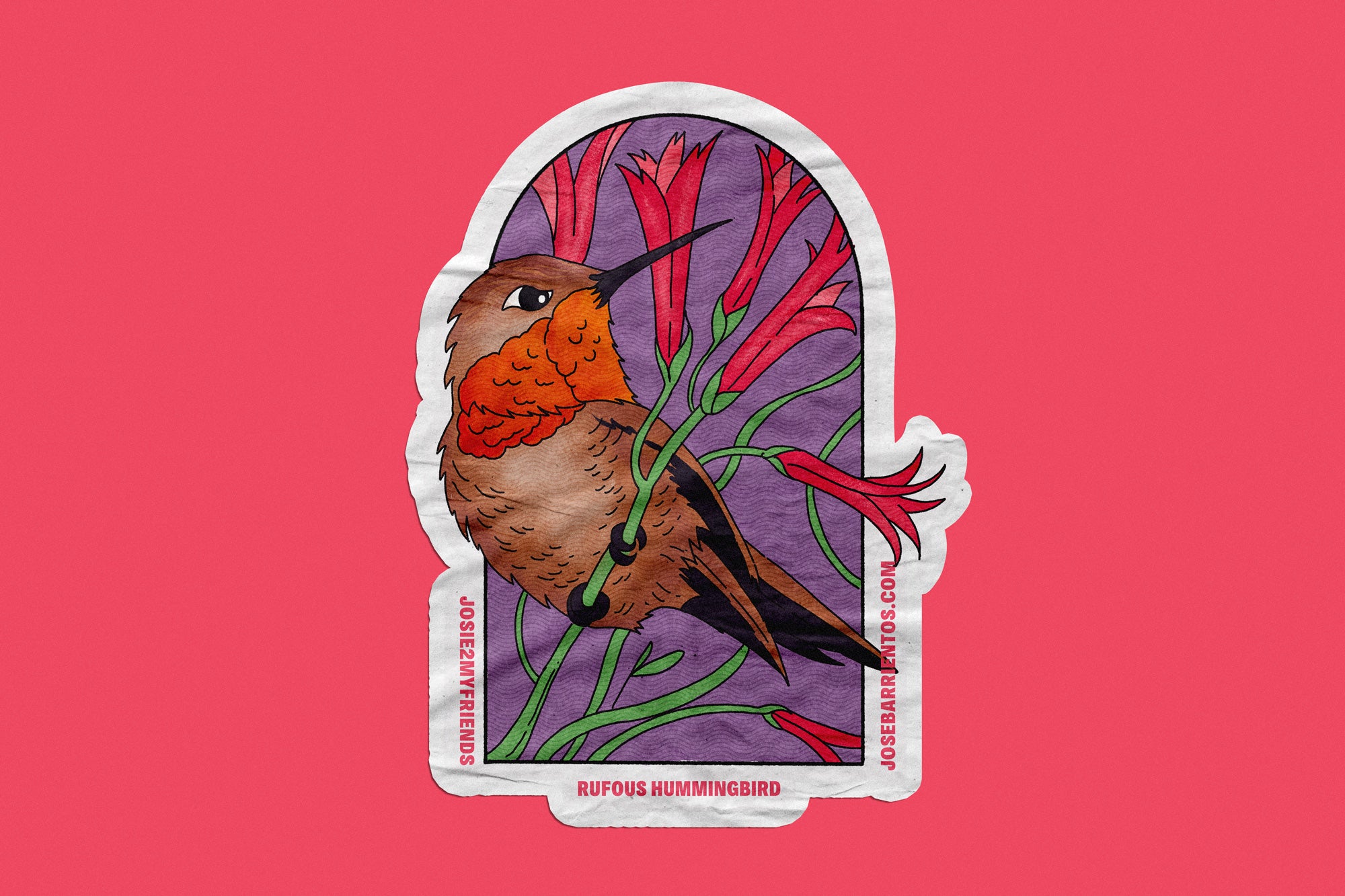 Rufous Hummingbird