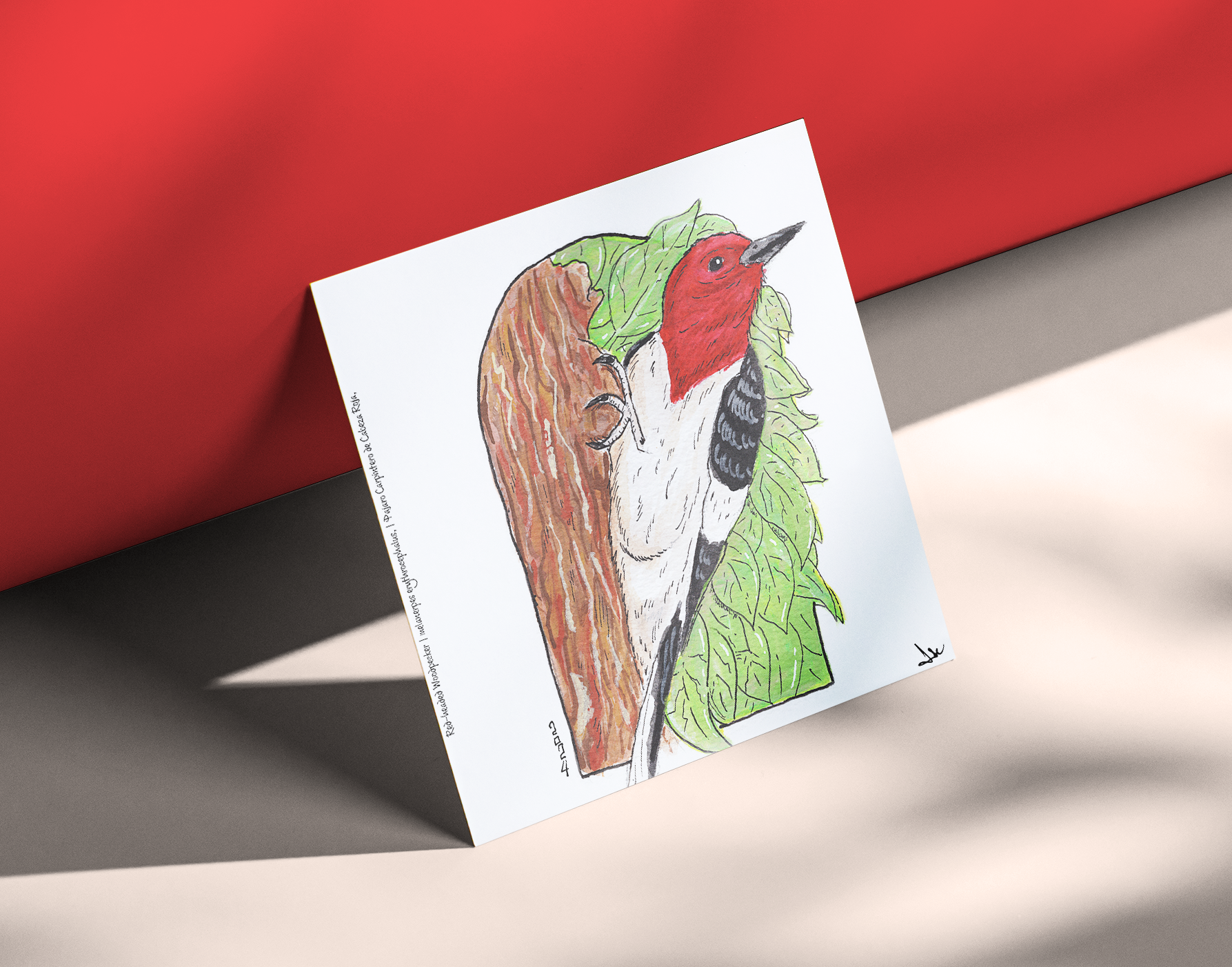 Red-headed Woodpecker