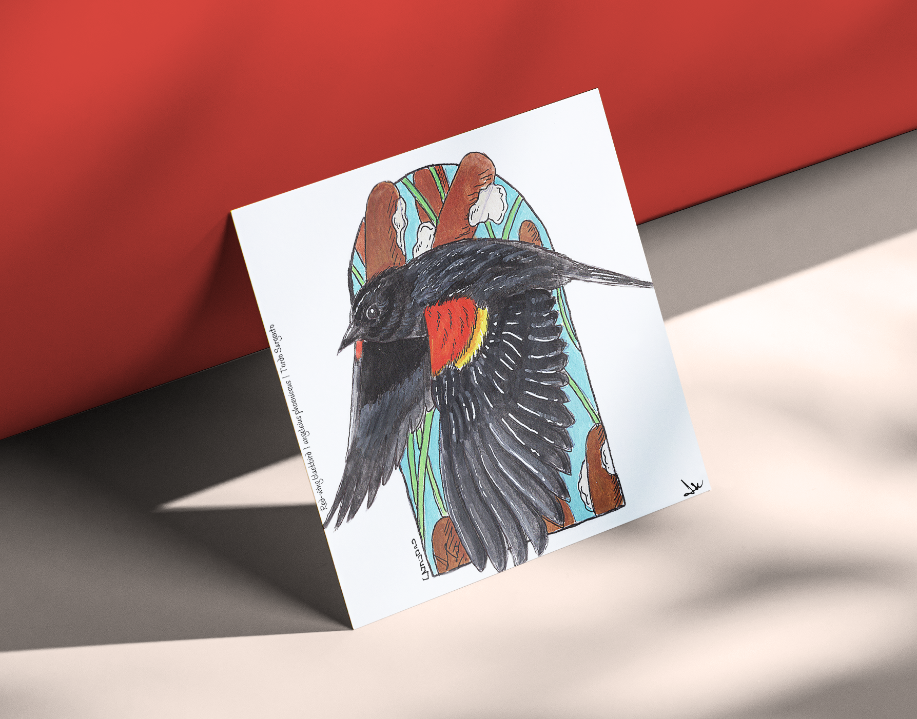 Red-wing Blackbird