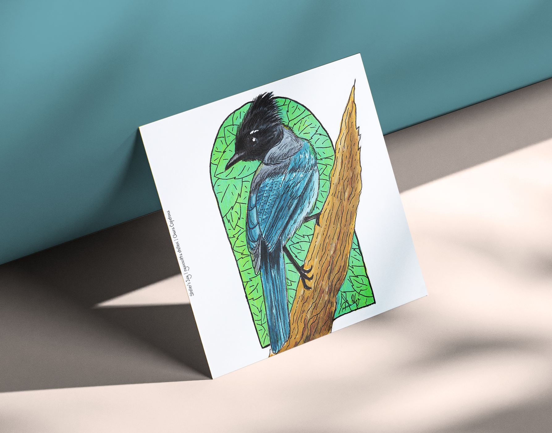 Stellar's Jay