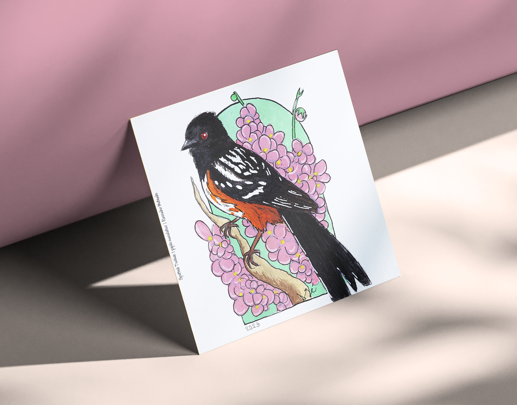 Spotted Towhee