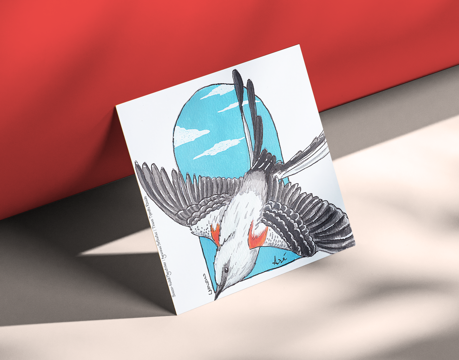 Scissor-tailed Flycatcher