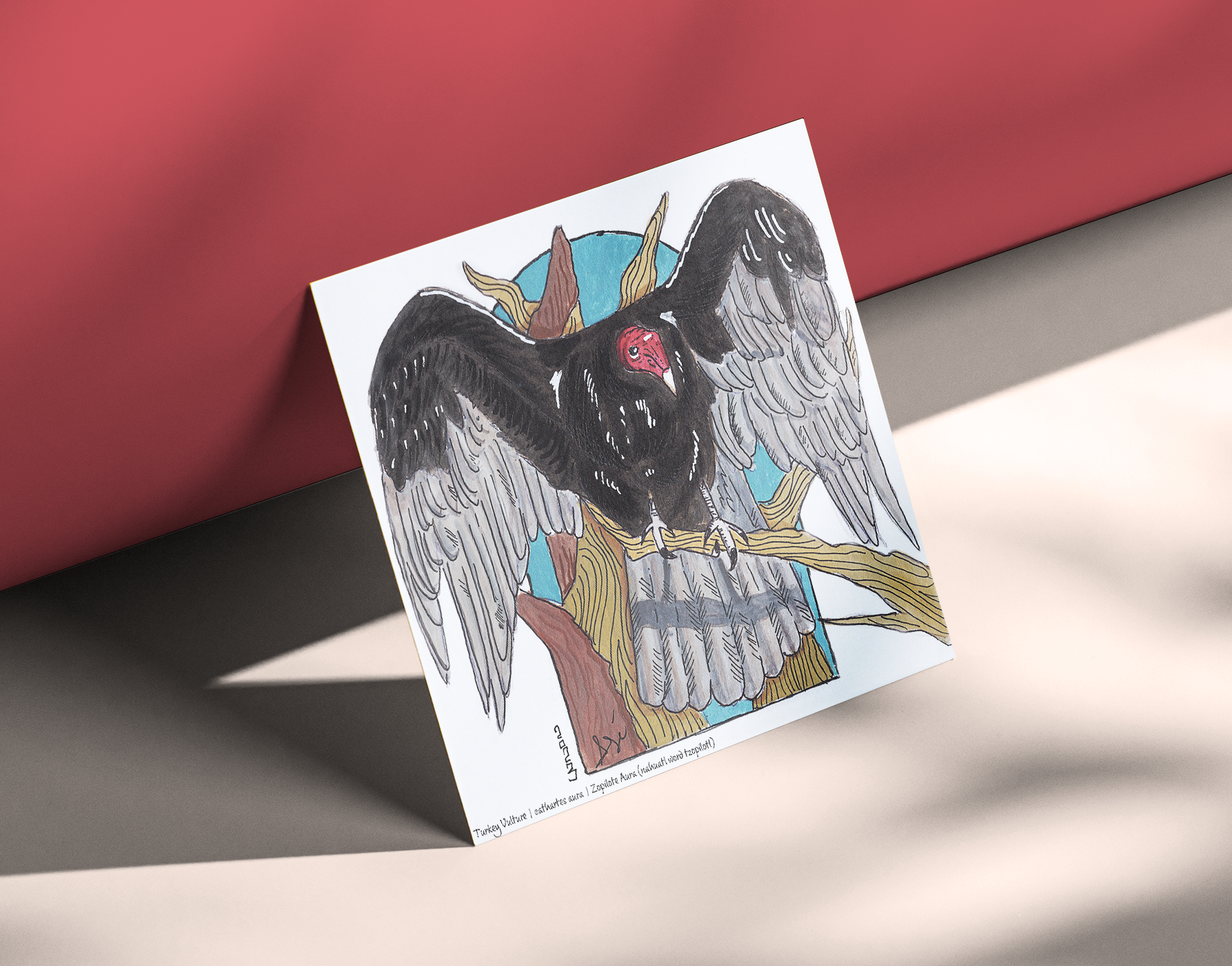 Turkey Vulture