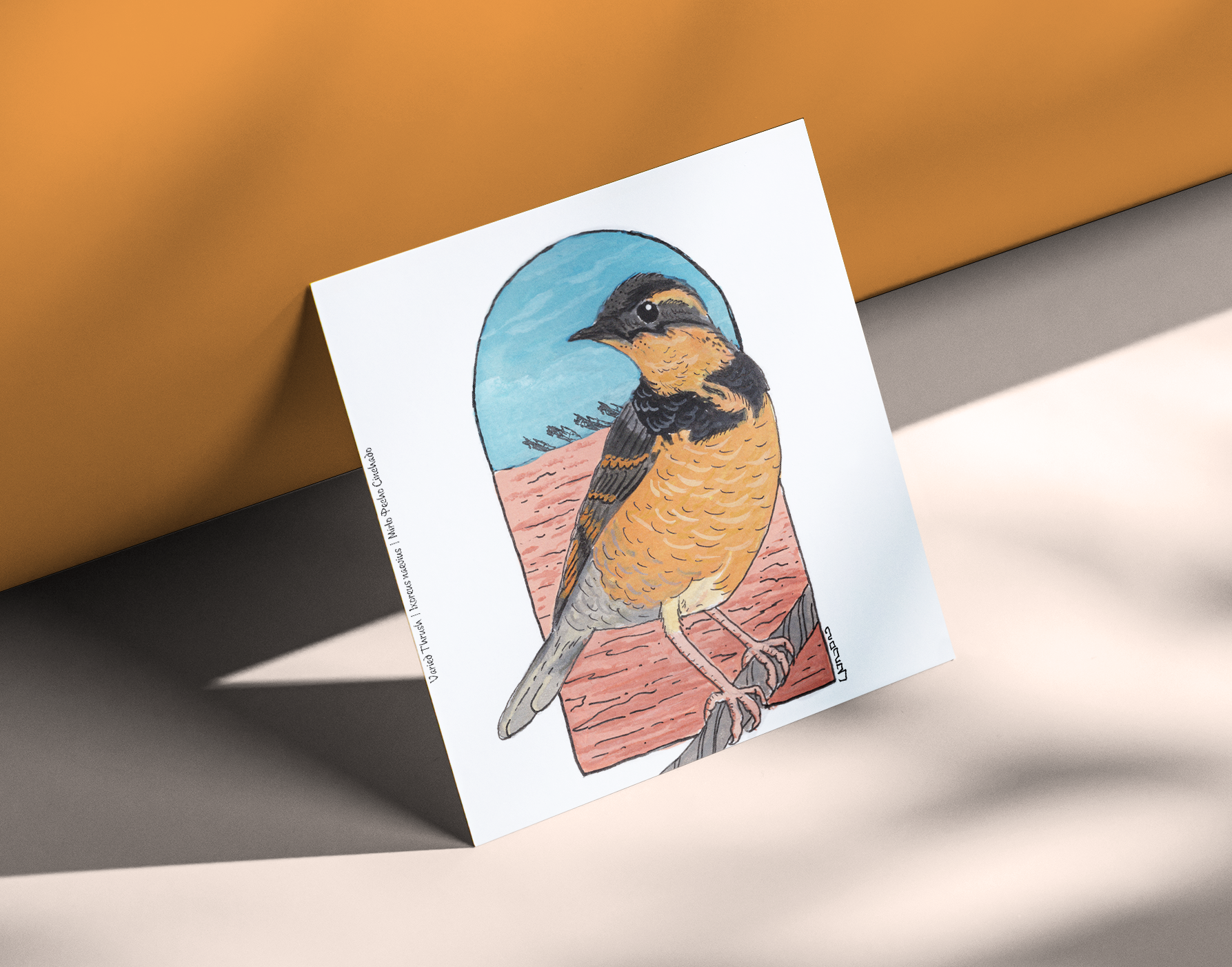 Varied Thrush