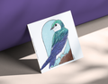 Violet-green Swallow