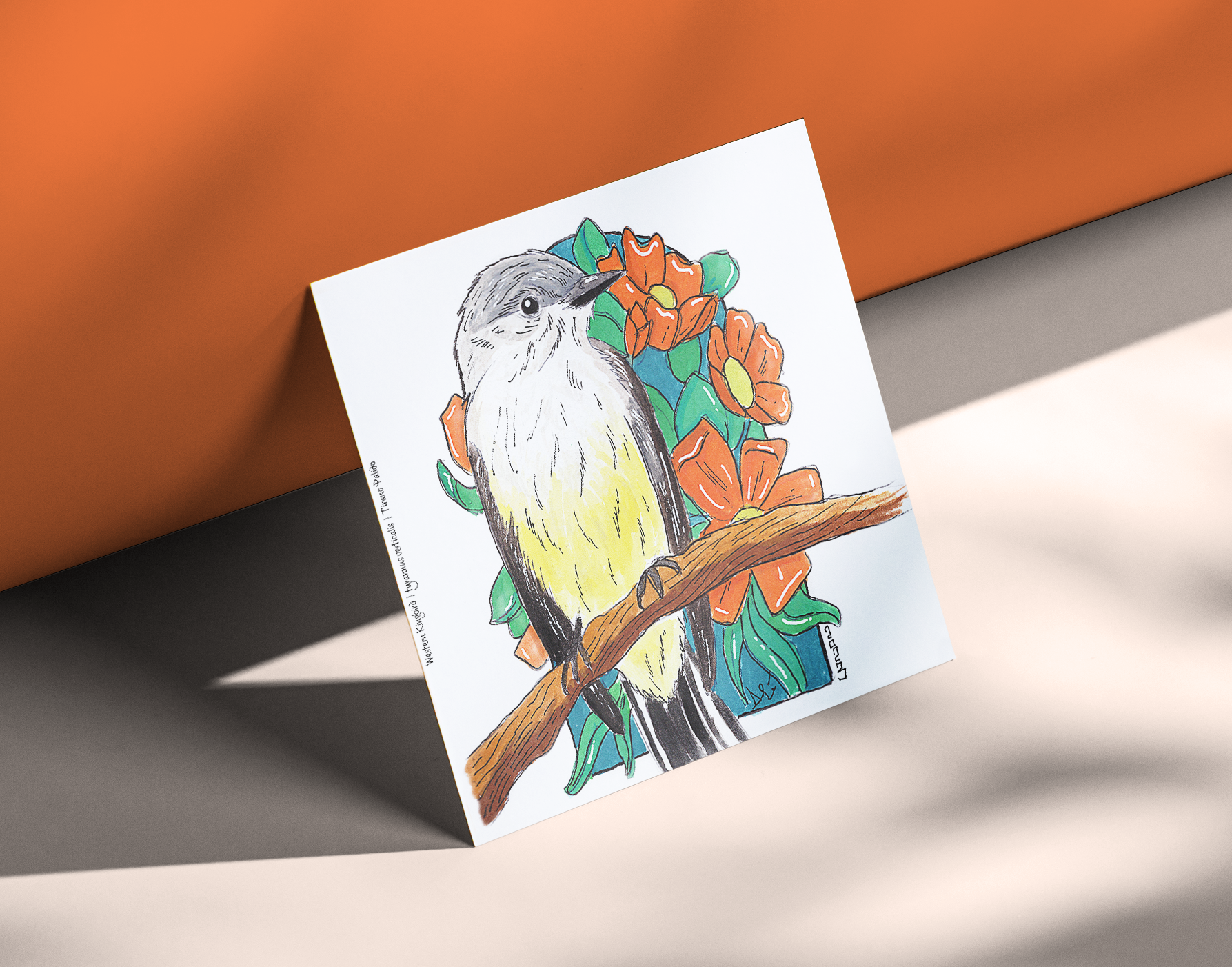 Western Kingbird