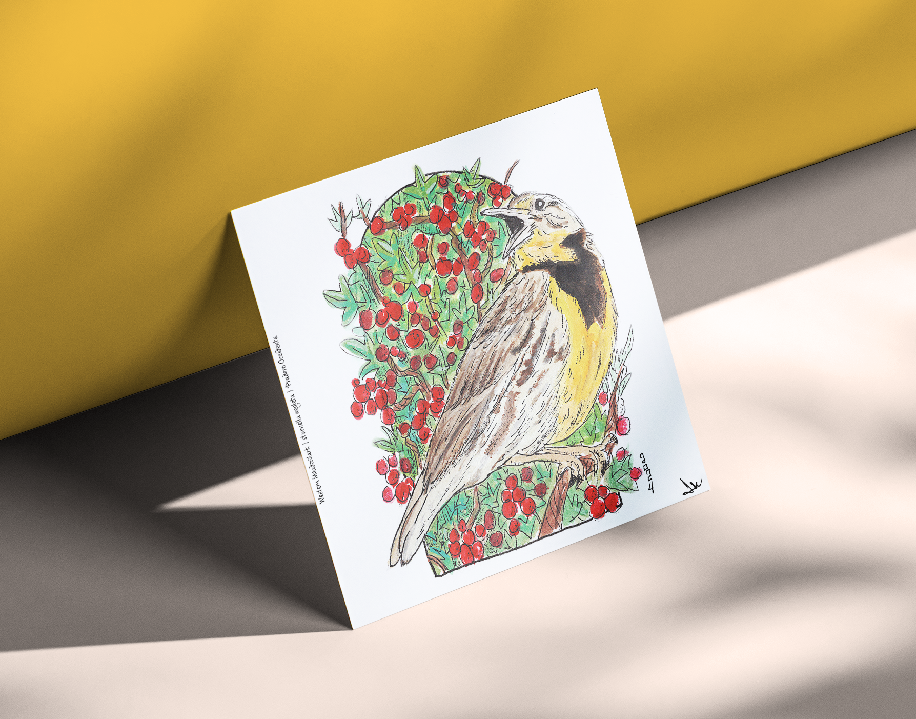 Western Meadowlark