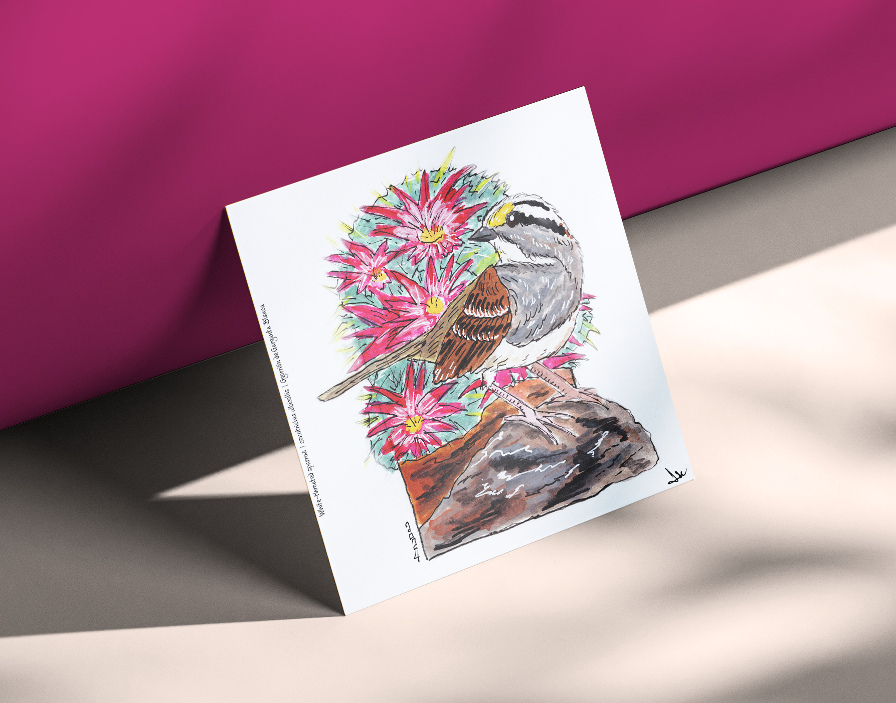 White-throated Sparrow