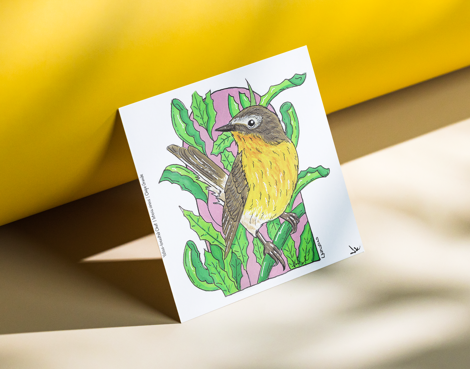Yellow-breasted Chat