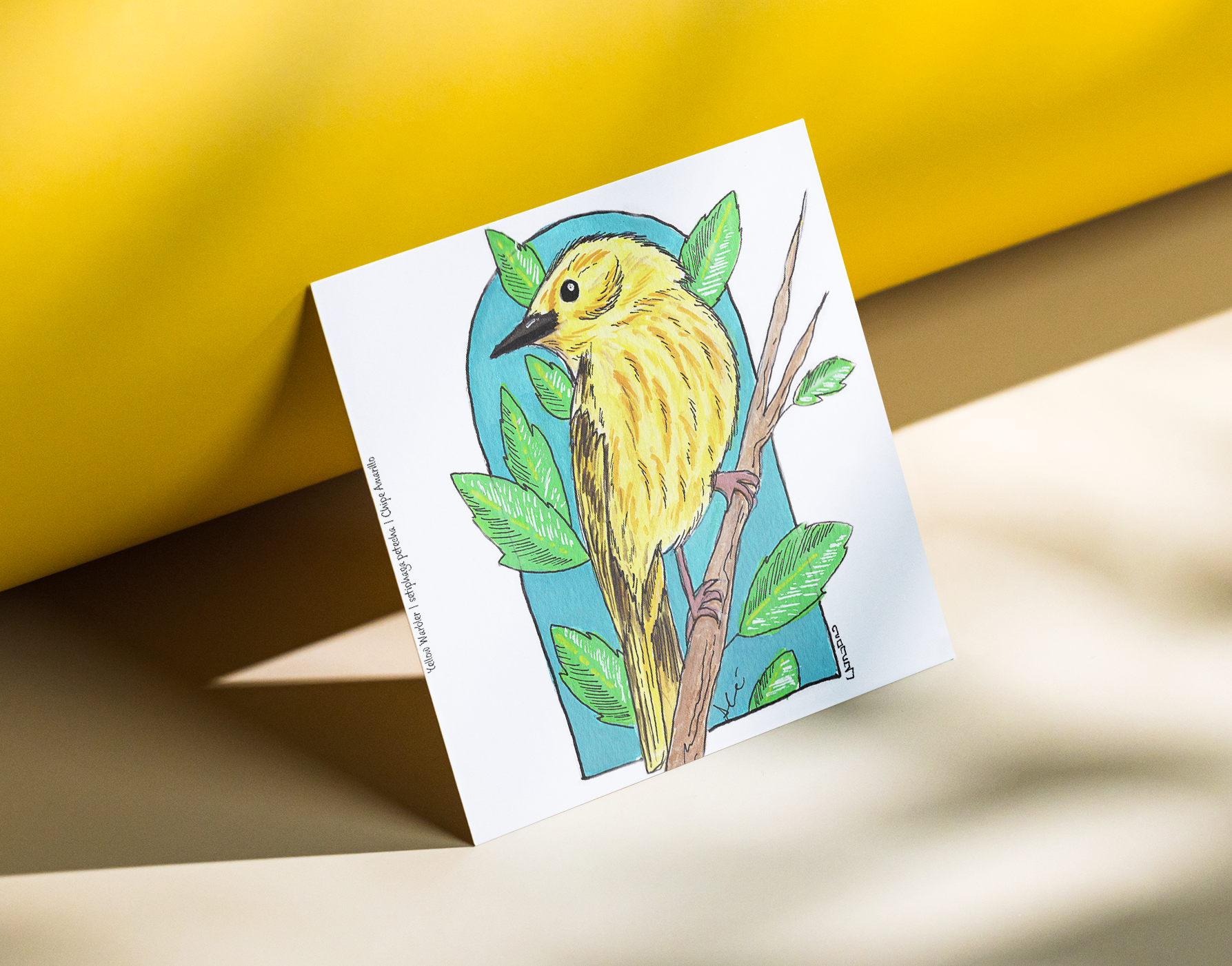 Yellow Warbler